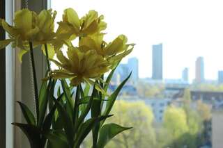 Апартаменты Penthouse Apartment with Great Panoramic City View Вильнюс Апартаменты с 1 спальней-23