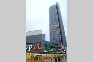 Апартаменты Penthouse Apartment with Great Panoramic City View Вильнюс Апартаменты с 1 спальней-32