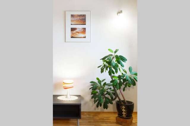 Апартаменты Penthouse Apartment with Great Panoramic City View Вильнюс-26
